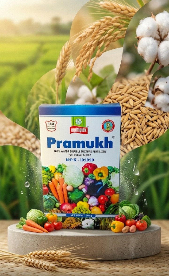 Multiplex Pramukh NPK 19:19:19 Water Soluble Fertilizer (500g)