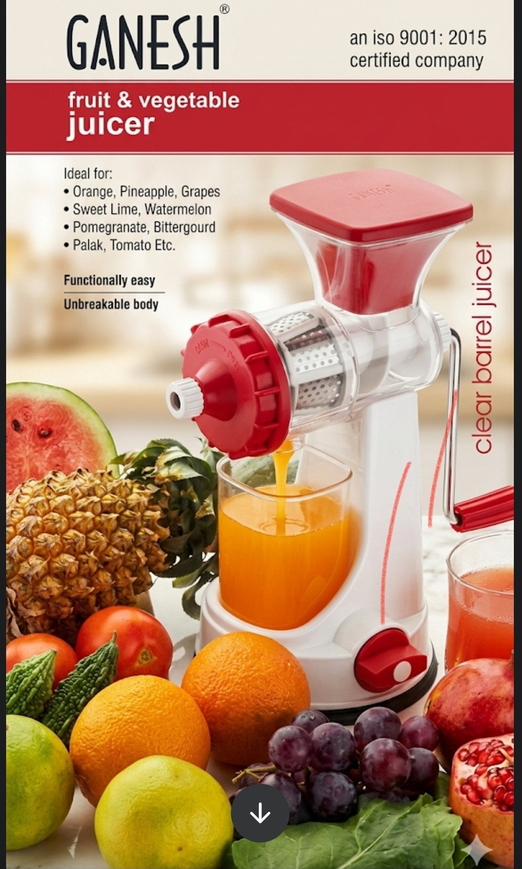 Ganesh Fruit & Vegetable Juicer