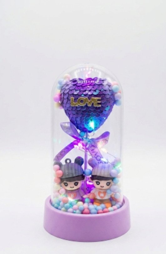LED Sequin Heart Couple Glass Dome